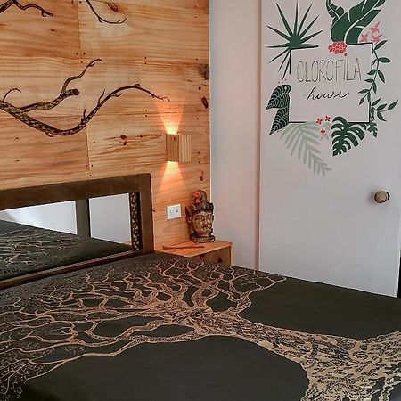 Clorofila House Glamping Naturista Ubatuba Eksteriør bilde