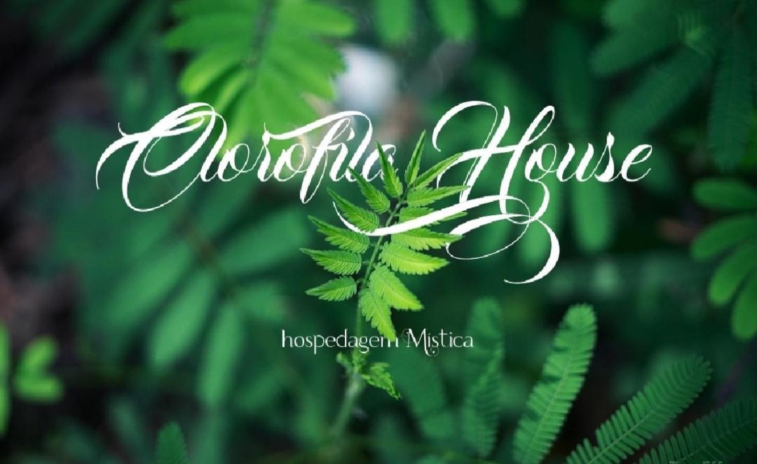 Clorofila House Glamping Naturista Ubatuba Eksteriør bilde