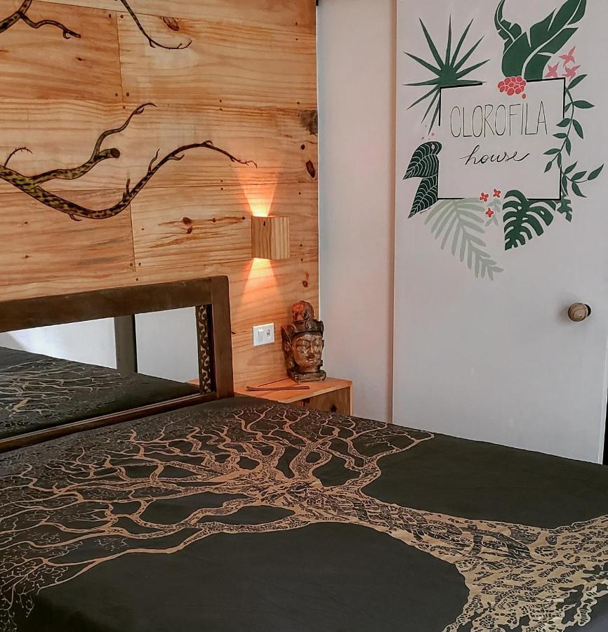 Clorofila House Glamping Naturista Ubatuba Eksteriør bilde