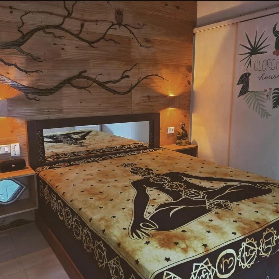 Clorofila House Glamping Naturista Ubatuba Eksteriør bilde