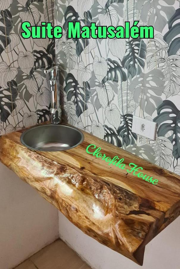 Clorofila House Glamping Naturista Ubatuba Eksteriør bilde