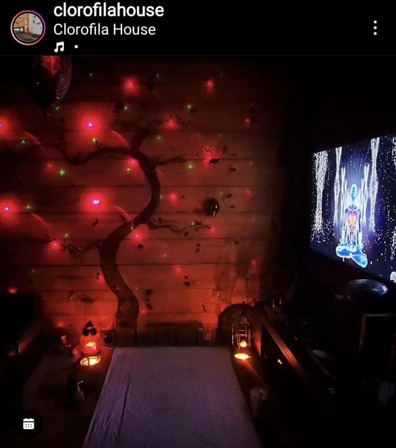 Clorofila House Glamping Naturista Ubatuba Eksteriør bilde